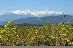Mont Canigou