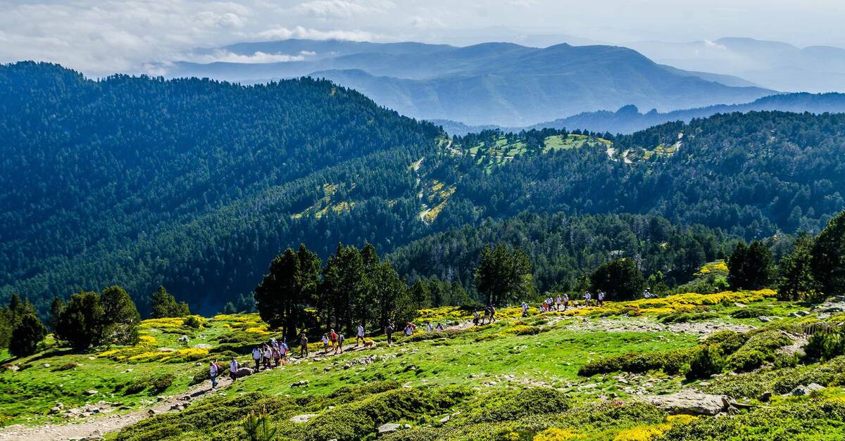 Access To The Canigous Summit Conflent Canigo Tourisme Le