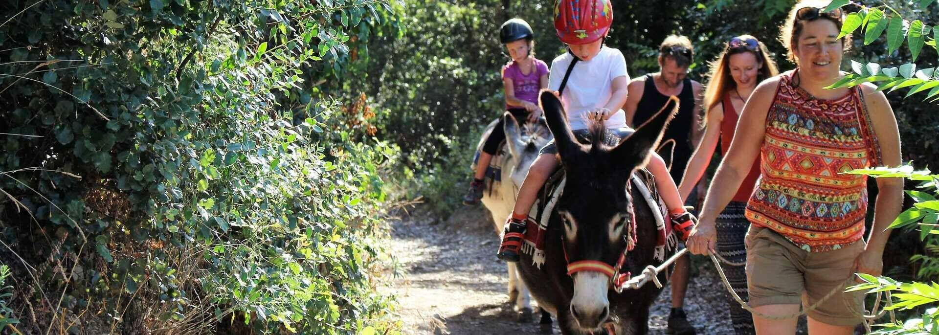 donkey canigo