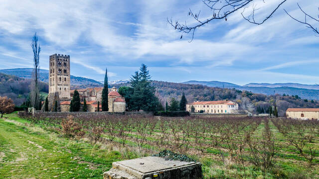 Romanesque Days