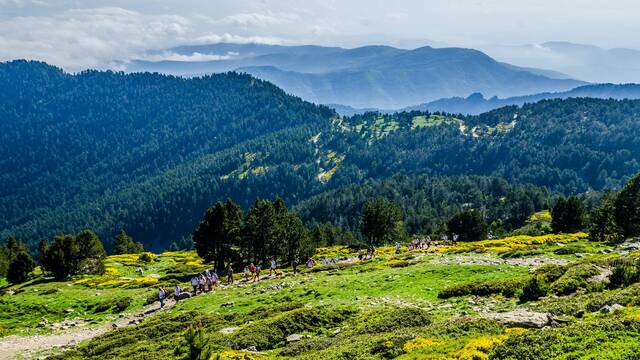 Access to the Canigou's  summit