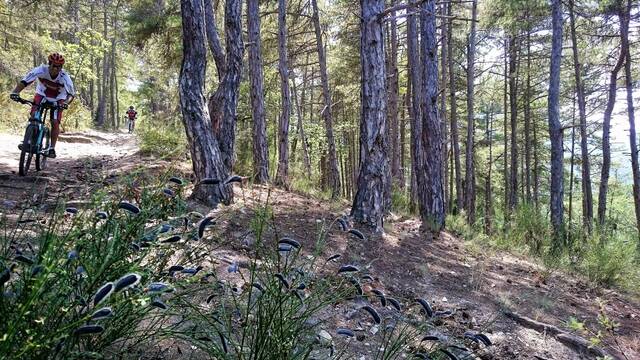 Madres Coronat MTB Area