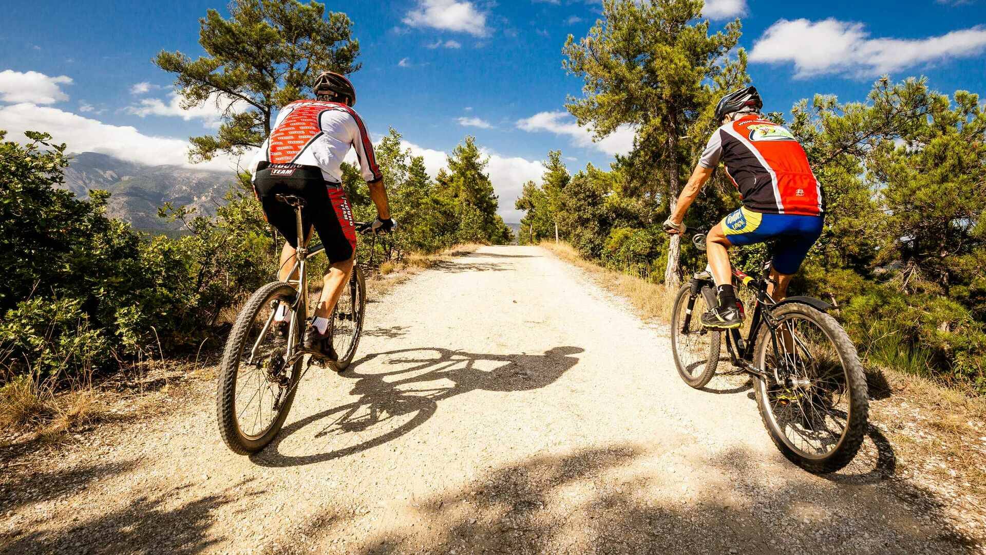 espace vtt conflent canigo